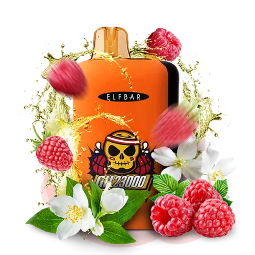 Одноразовая POD-система Elf Bar GH23000